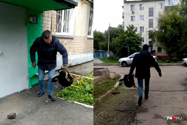 Собака укусила двухлетнюю дочь челябинца Собака укусила двухлетнюю дочь челябинца