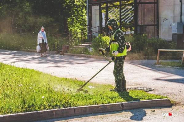 Гулять можно будет во всех парках, кроме березниковских Гулять можно будет во всех парках, кроме березниковских