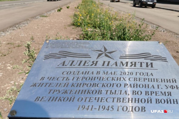 Аллея создана всего два месяца назад Аллея создана всего два месяца назад