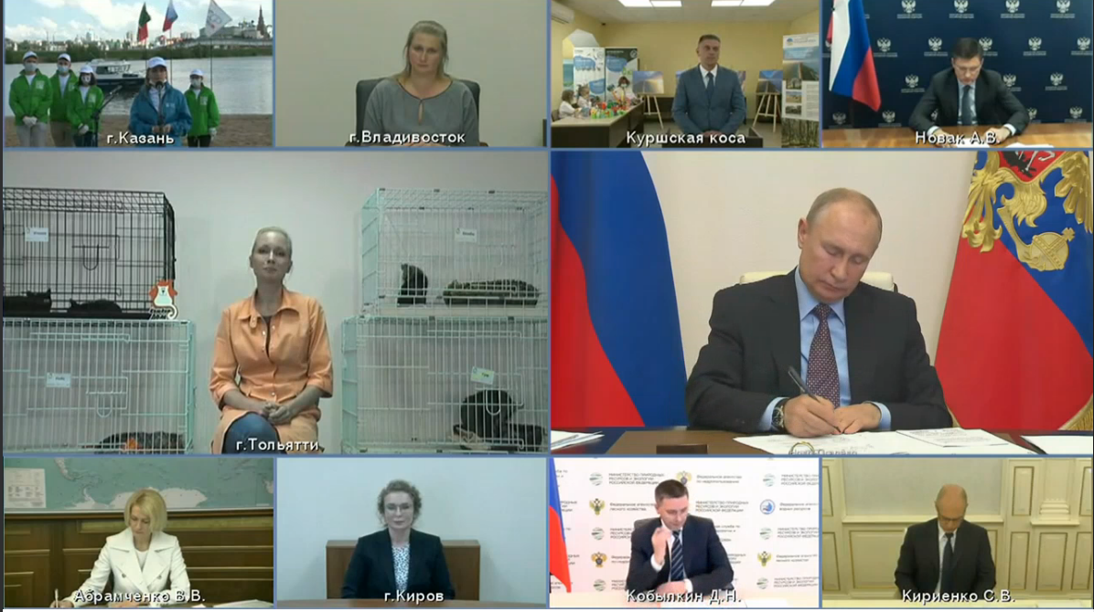 На связи с Владимиром Путиным были несколько регионов России На связи с Владимиром Путиным были несколько регионов России