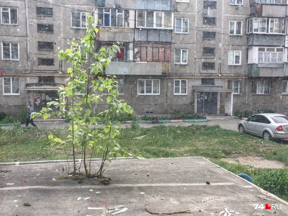 Сохранившуюся во дворе зелень можно пересчитать по пальцам, среди них — березы на козырьках подъездов Сохранившуюся во дворе зелень можно пересчитать по пальцам, среди них — березы на козырьках подъездов