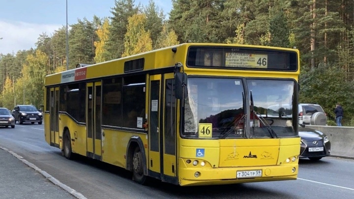 В Перми на маршруте № 46 увеличат количество автобусов