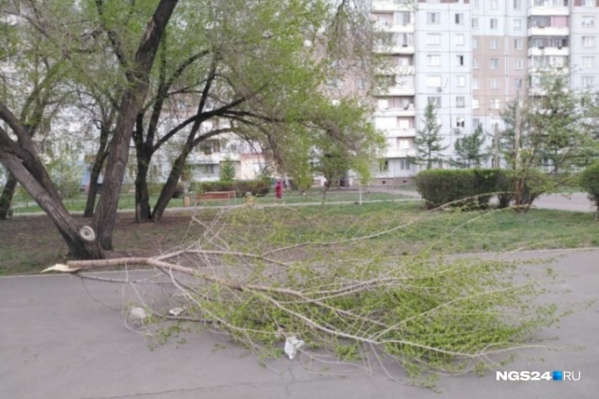 Красноярцам рекомендуют не покидать свои дома в стихию Красноярцам рекомендуют не покидать свои дома в стихию