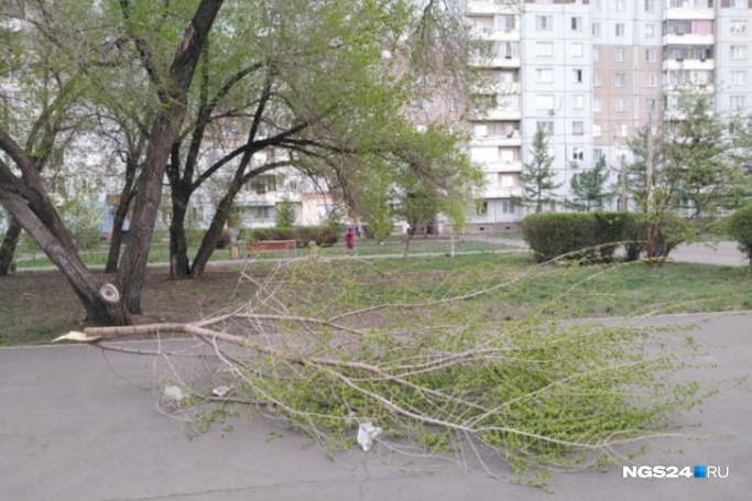 Красноярцам рекомендуют не покидать свои дома в стихию Красноярцам рекомендуют не покидать свои дома в стихию