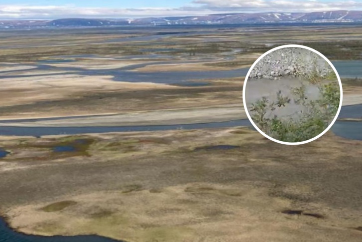 Общественники нашли ручьи черной и пенящейся воды 