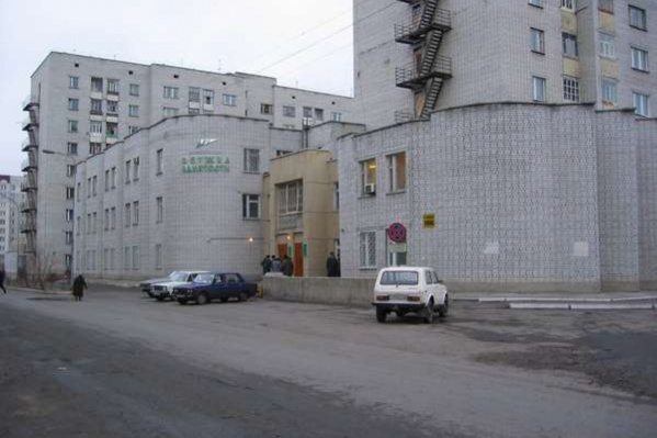 Все службы занятости Зауралья сейчас ведут прием граждан дистанционно Все службы занятости Зауралья сейчас ведут прием граждан дистанционно