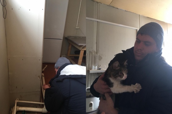 Ради спасения кошечки рабочие разобрали обшивку стен Ради спасения кошечки рабочие разобрали обшивку стен