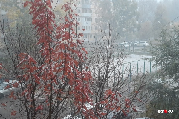  В некоторых дворах Самары снег даже накрыл землю. Правда, ненадолго В некоторых дворах Самары снег даже накрыл землю. Правда, ненадолго