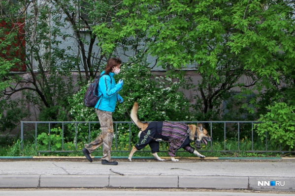 Послабления есть, но до привычной жизни нам ещё долго
