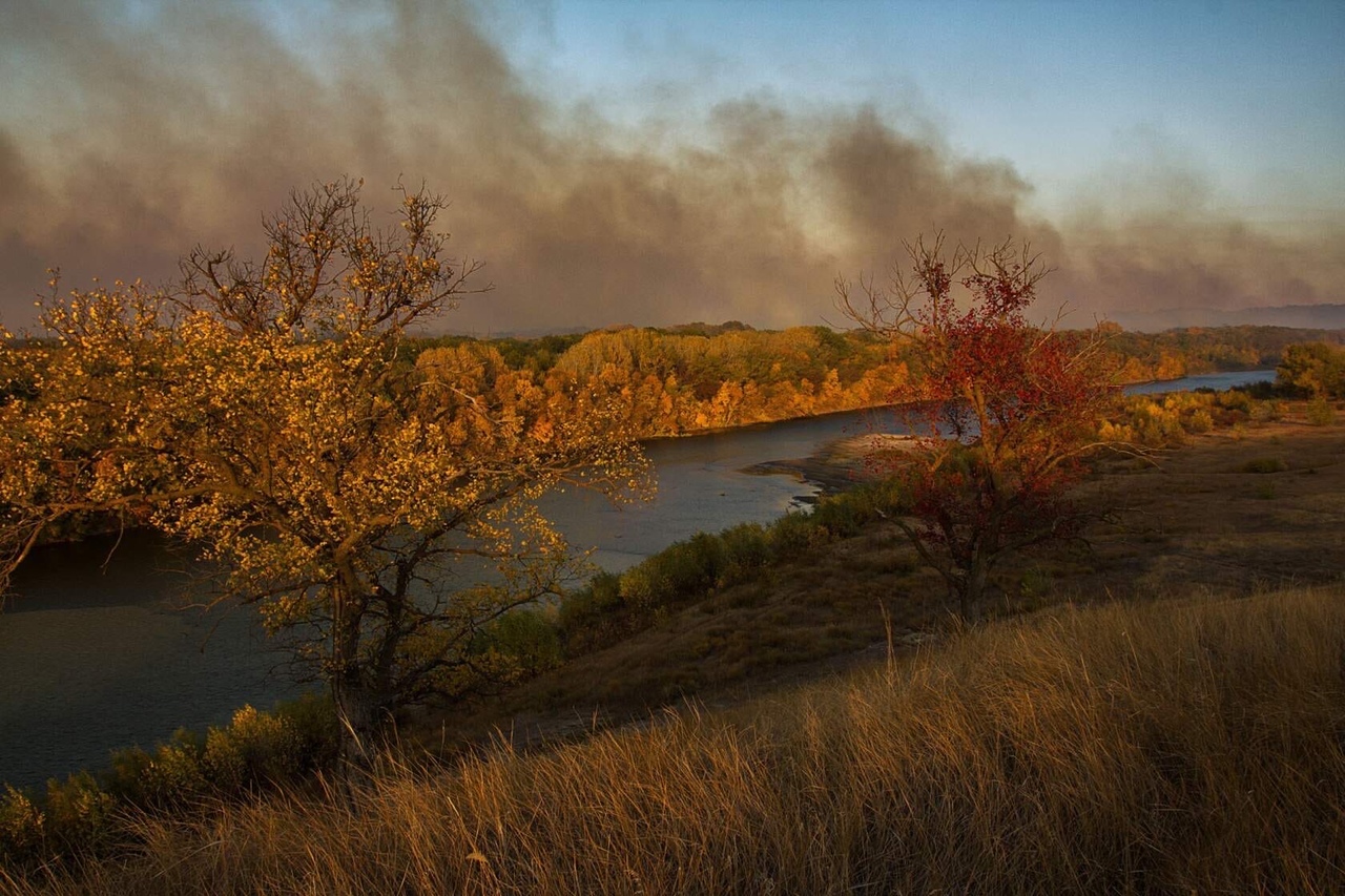 «Площадь горения больше километра»: лесные пожары на севере Волгоградской области угрожают турбазам