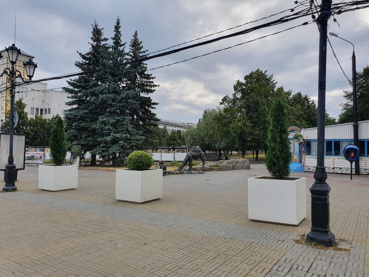 В бетонных вазонах будут расти три вида растений В бетонных вазонах будут расти три вида растений