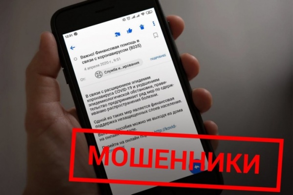 Режим изоляции только помог мошенникам разбогатеть Режим изоляции только помог мошенникам разбогатеть 