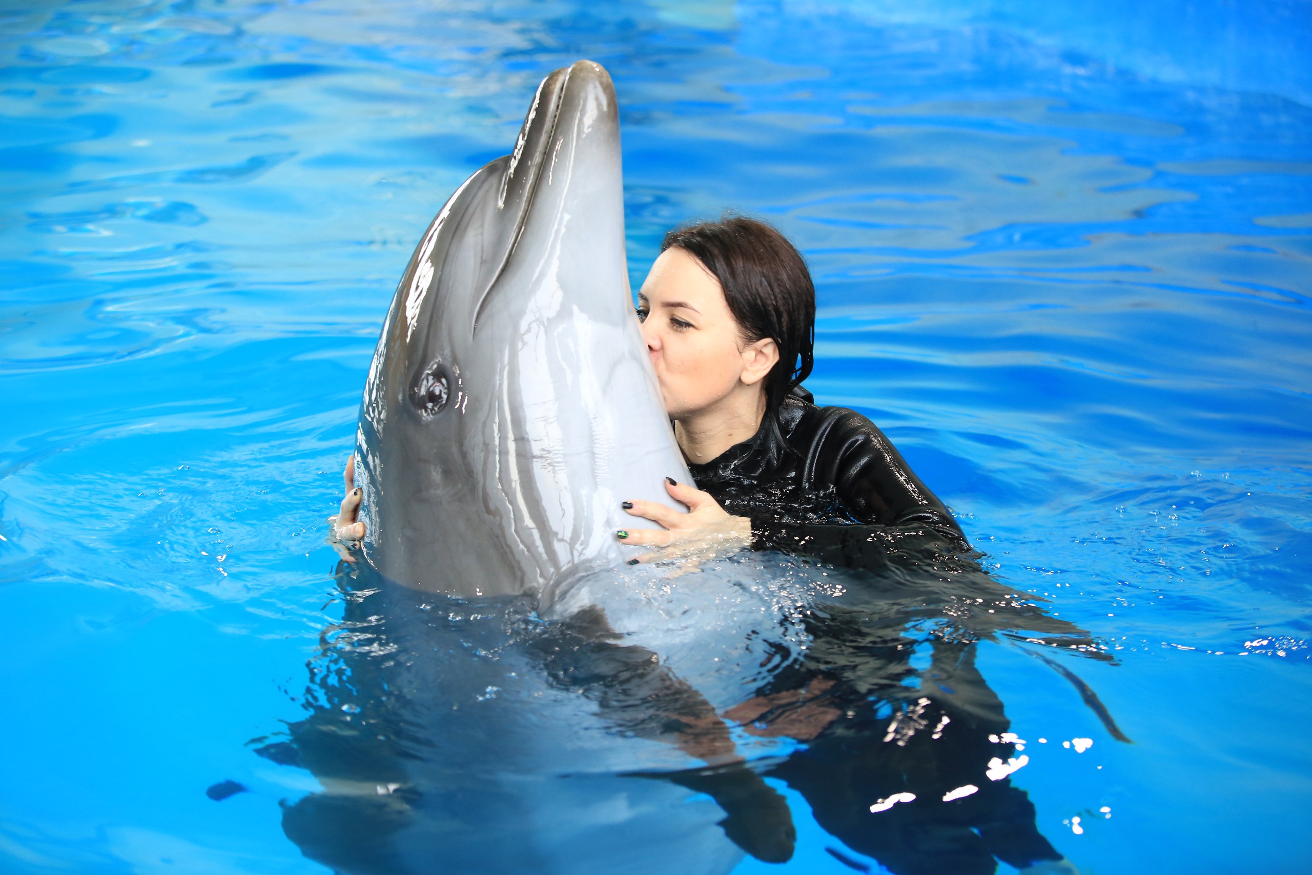Удовольствие с дельфином