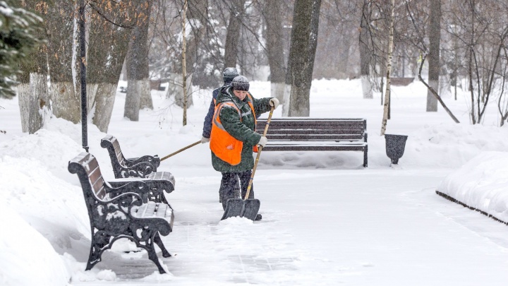 Ждем ледяных дождей: синоптики дали долгосрочный прогноз на зиму для Центральной России