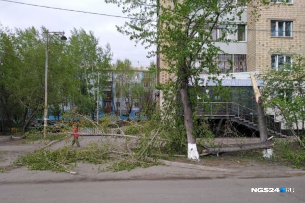 Жителей Красноярского края предупредили о сильном штормовом ветре Жителей Красноярского края предупредили о сильном штормовом ветре