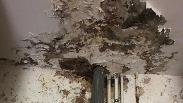 Уфимка, которая 4 года живет в доме с гнилым потолком: «Если будет так продолжаться, рухнут перекрытия»