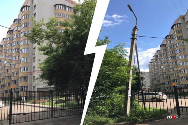 Столб наклонился из-за того, что на провода легли ветки дерева Столб наклонился из-за того, что на провода легли ветки дерева