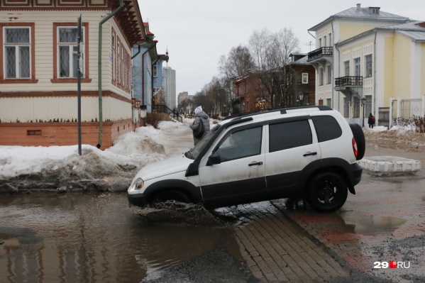 Автомобили словно пловцы на старте Автомобили словно пловцы на старте