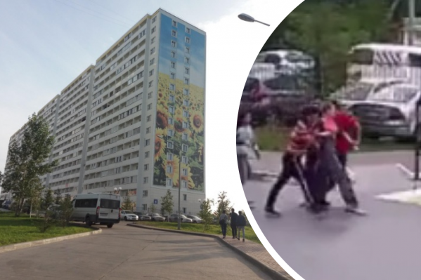 Девушка упиралась, но мужчины продолжали её тащить в машину Девушка упиралась, но мужчины продолжали её тащить в машину