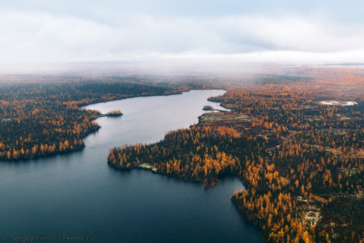 Северная Тайга Красноярского края