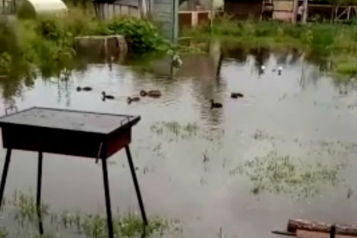 Под Ярославлем после дождей участки дачников оказались под водой Под Ярославлем после дождей участки дачников оказались под водой