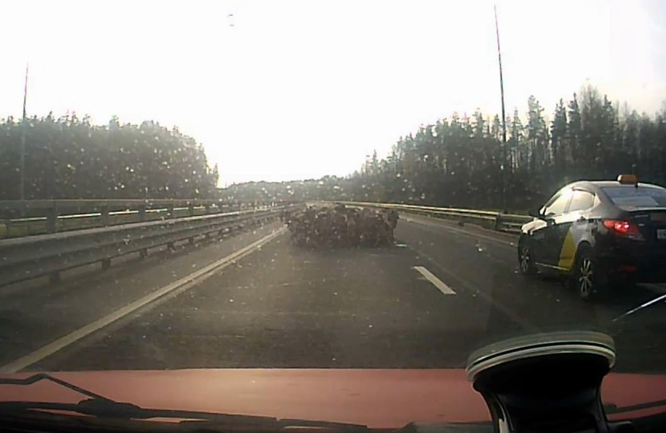 Скриншот видео из группы <a href="https://vk.com/wall-68471405_14005022" target="_blank" class="_">«ДТП и ЧП | Санкт-Петербург»</a>