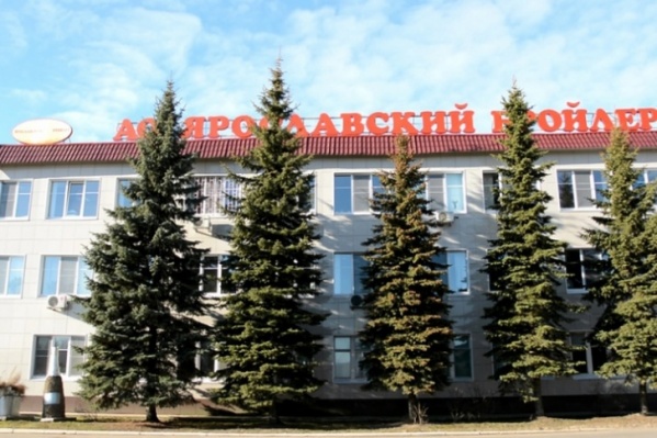 Филе «Ярославского бройлера» выращено в экологических условиях Филе «Ярославского бройлера» выращено в экологических условиях