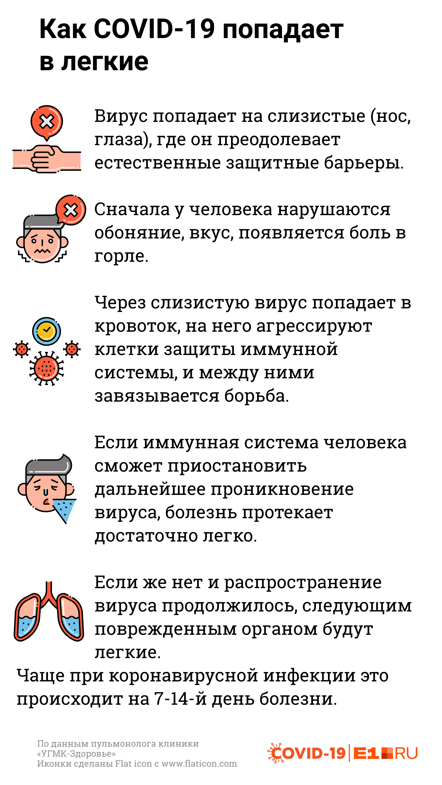 Как коронавирус попадает в легкие Как коронавирус попадает в легкие