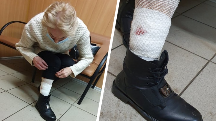 «Натравим еще раз!»: в Ярославле бойцовый пес напал на женщину