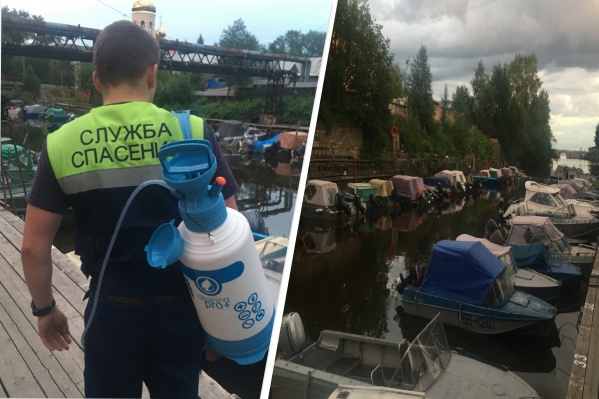 Заметила радужные пятна на воде местная жительница Заметила радужные пятна на воде местная жительница