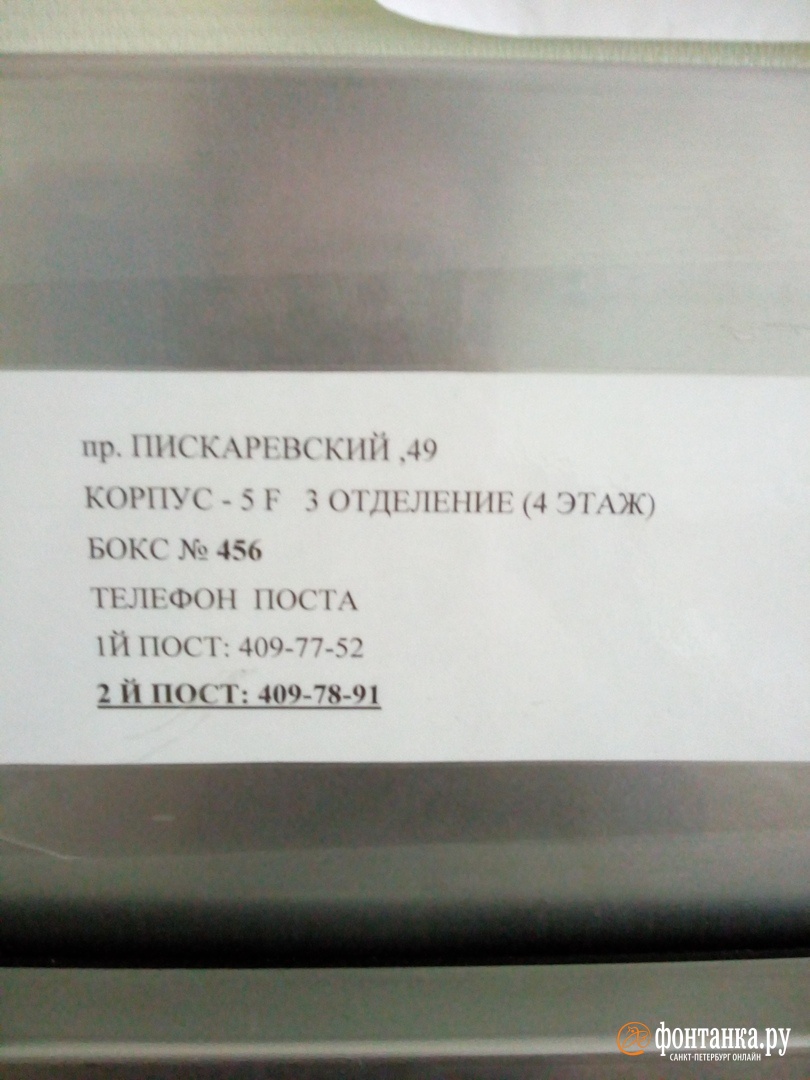 автор фото читательница «Фонтанки» Ольга