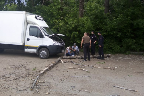 Дерево упало на Индустриальном шоссе, 7/2 Дерево упало на Индустриальном шоссе, 7/2