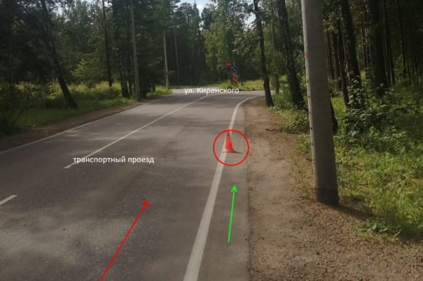 Случай произошел еще в мае, но водителя так и не нашли Случай произошел еще в мае, но водителя так и не нашли