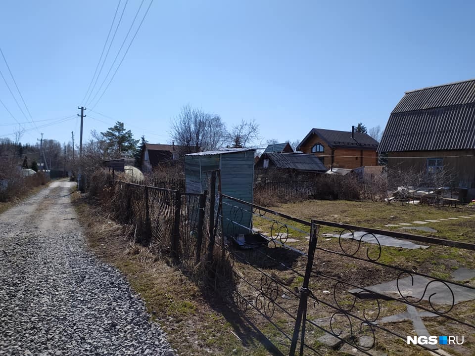 4 часа назад на дачах почти никого не было 4 часа назад на дачах почти никого не было
