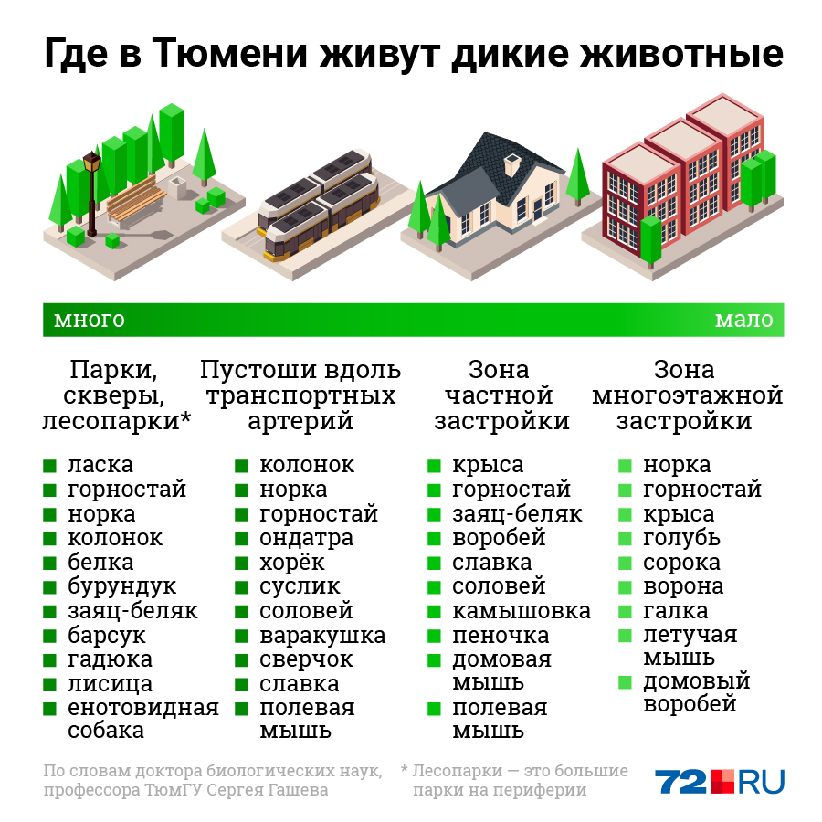 Биологи делят город на несколько зон. Самые удобные для животных — это лесопарки, парки и скверы. Так же хорошо им на пустошах вдоль железной дороги, реки и городских трасс. По этой зоне звери проникают вглубь города вплоть до центра. Многие селятся в районах частной застройки, а некоторые предпочитают густонаселенные территории<br> Биологи делят город на несколько зон. Самые удобные для животных — это лесопарки, парки и скверы. Так же хорошо им на пустошах вдоль железной дороги, реки и городских трасс. По этой зоне звери проникают вглубь города вплоть до центра. Многие селятся в районах частной застройки, а некоторые предпочитают густонаселенные территории<br>
