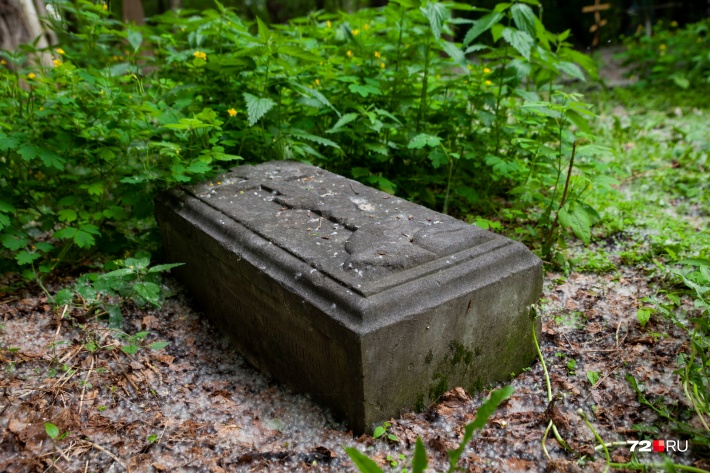 Потомки похороненных на Текутьевском кладбище уже не ходят на такие могилы