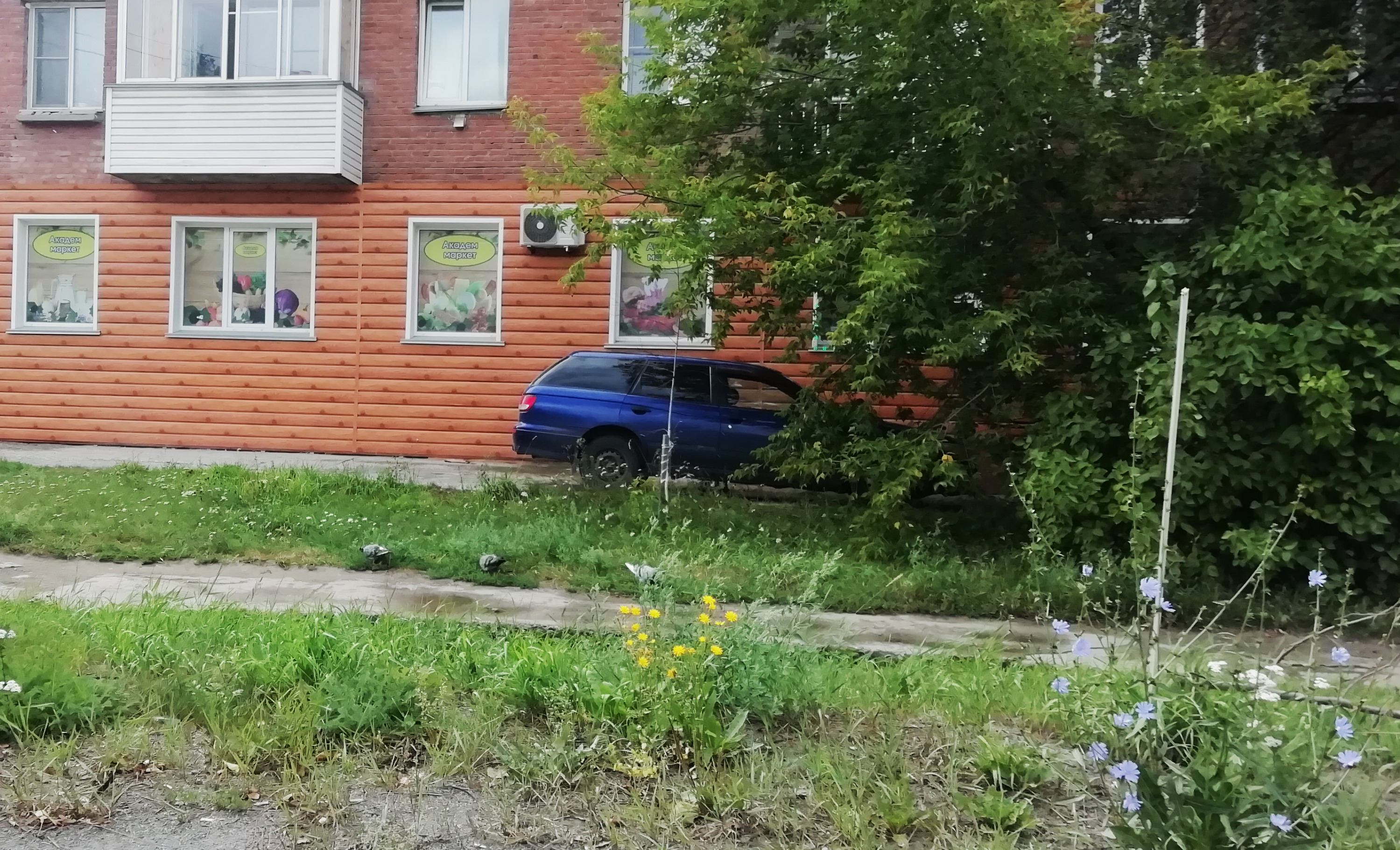 Поближе к дому Поближе к дому