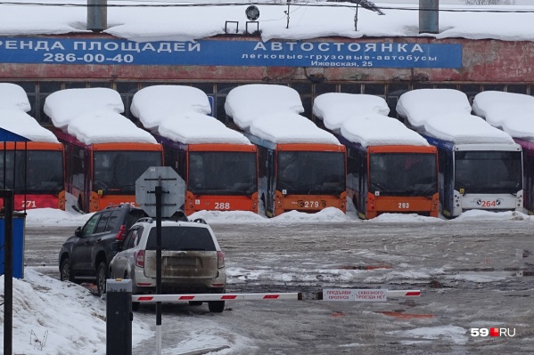Уже более полугода на Ижевской без дела стоят пермские троллейбусы Уже более полугода на Ижевской без дела стоят пермские троллейбусы