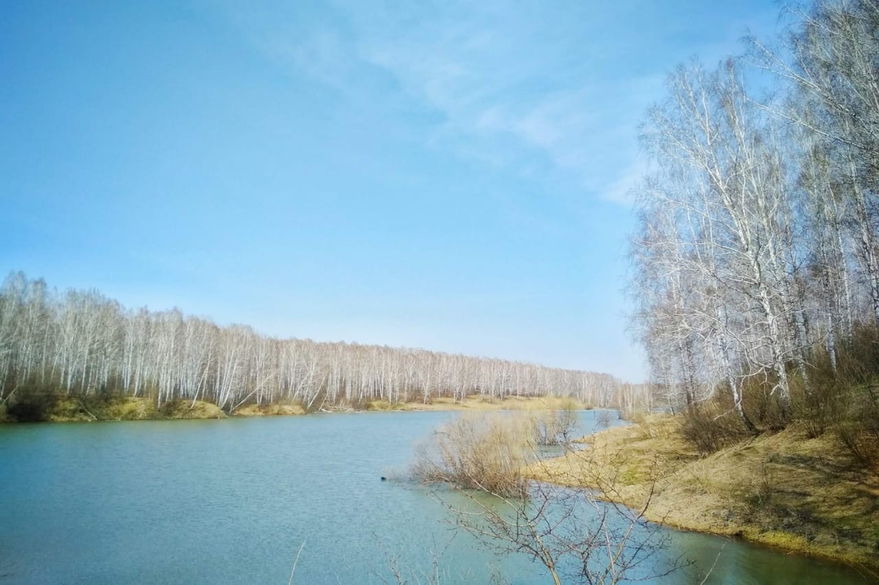 новосибирск озеро старица