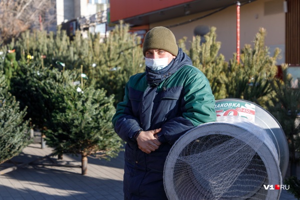 В первых числах декабря елочные базары открылись во всех районах города В первых числах декабря елочные базары открылись во всех районах города