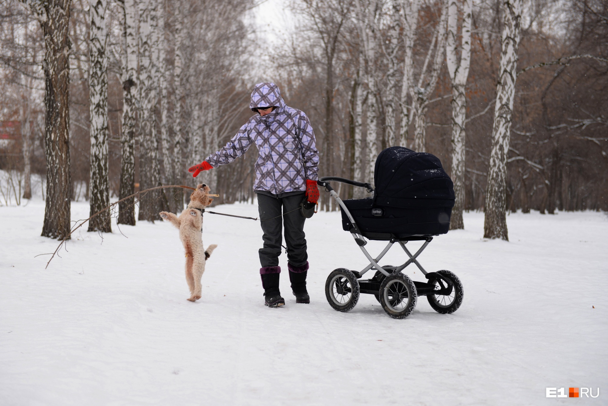 Лютые морозы или оттепель? Какой будет погода на Урале в январе и феврале