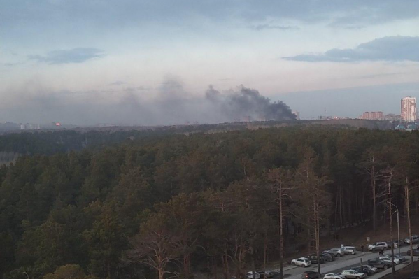 Столб дыма виден из разных районов города Столб дыма виден из разных районов города