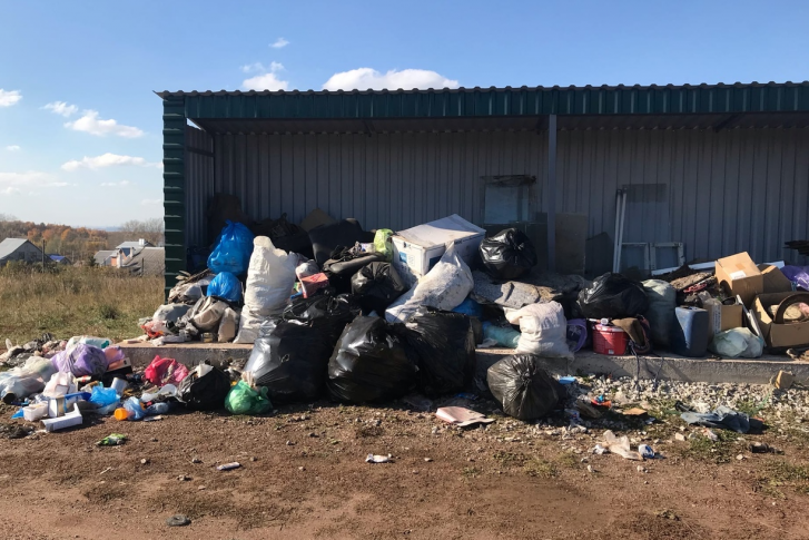 Возле мусорного контейнера появились собаки Возле мусорного контейнера появились собаки