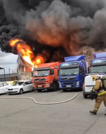 Кадр из видео в<a href="https://vk.com/spb_today" class="_"> vk.com/spb_today</a>