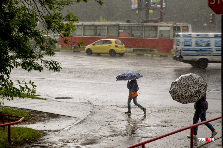 Дожди в Ярославле будут идти до самого конца августа: иногда кратковременные, а иногда затяжные