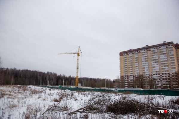 В Ярославле все-таки построят высотку у Павловской рощи В Ярославле все-таки построят высотку у Павловской рощи