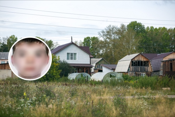 Мальчик ехал на дачу к папе Мальчик ехал на дачу к папе