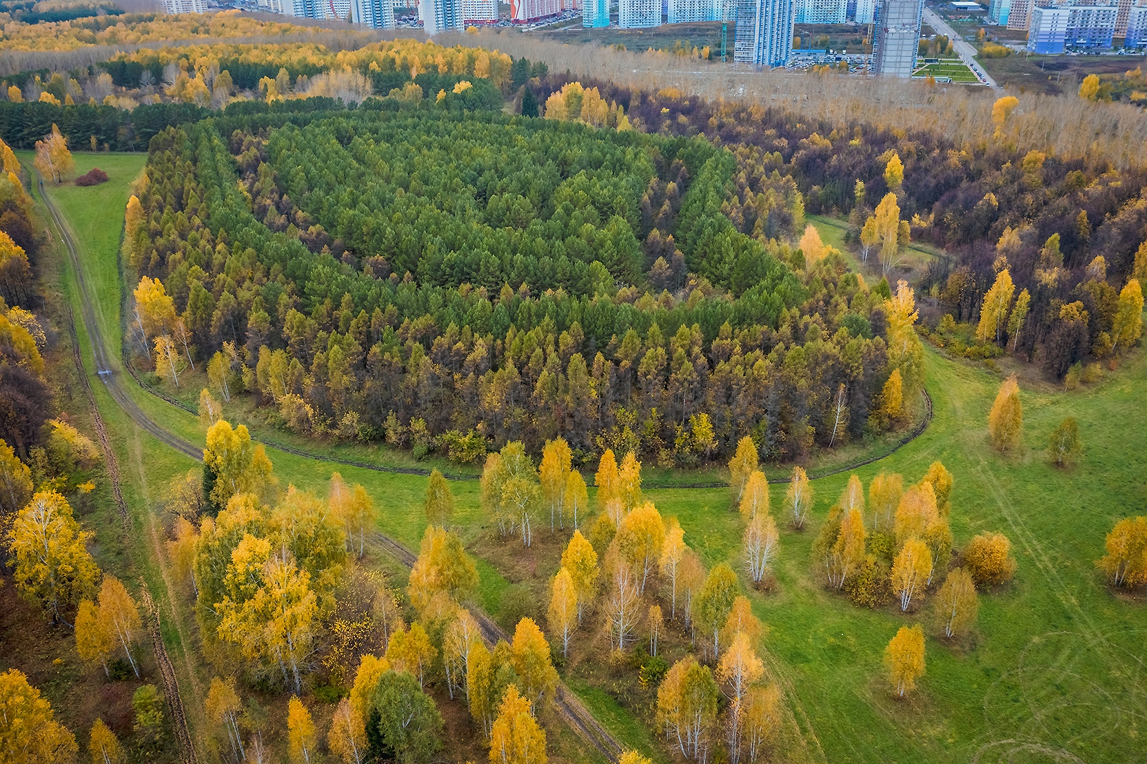 Краснообск новосибирская фото