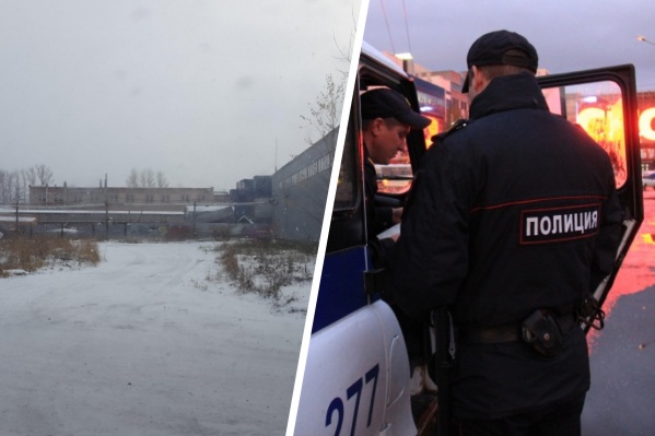 Инцидент произошел в городе Пушкине Инцидент произошел в городе Пушкине