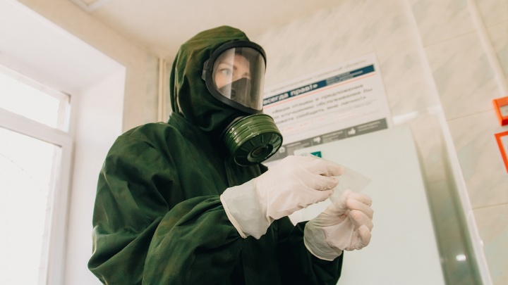 Чревато лихорадкой и пневмонией: в Самарской области установили карантин 30-километровой зоне
